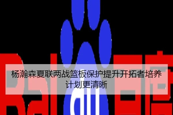 杨瀚森夏联两战篮板保护提升开拓者培养计划更清晰